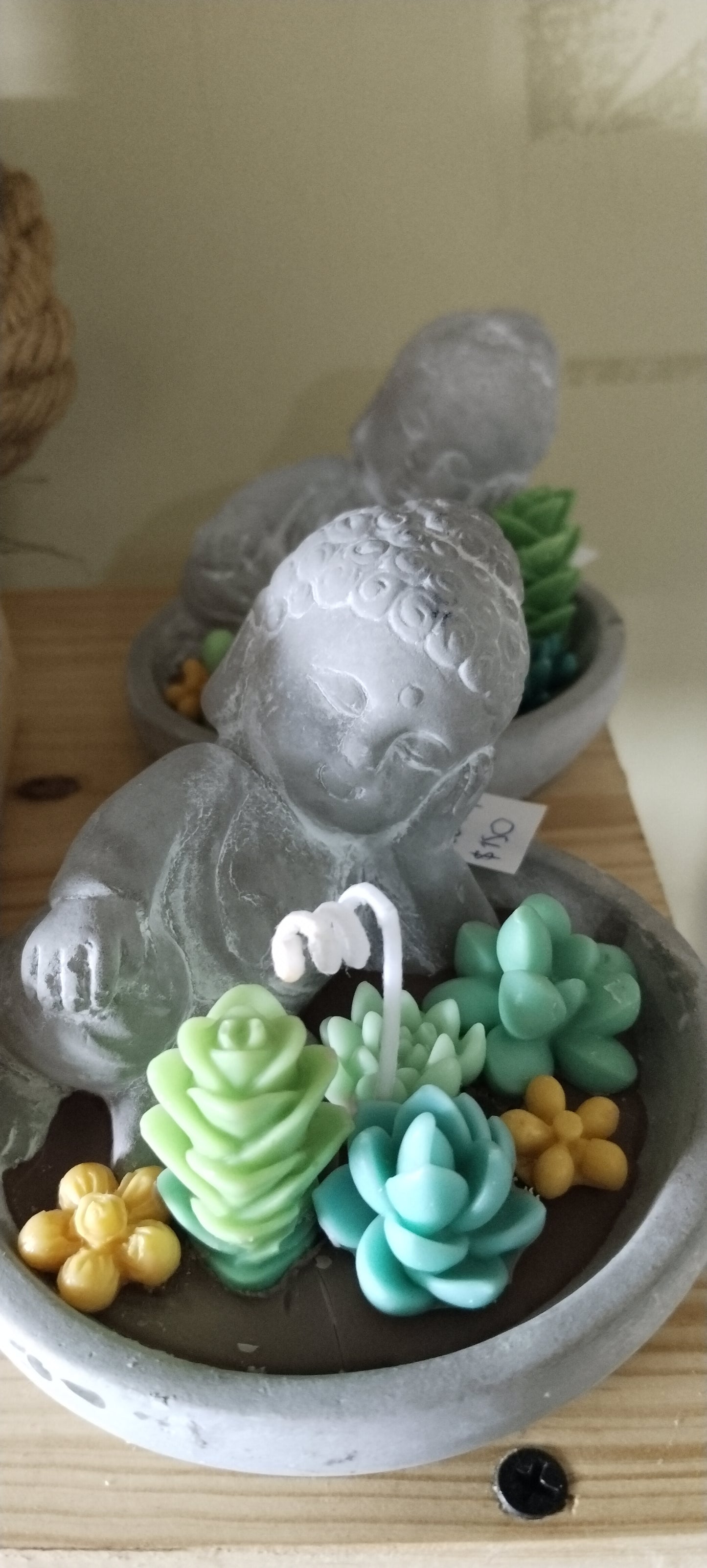 Vela mediana Budha