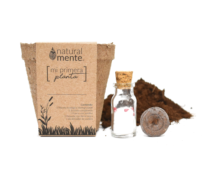 Kit de Siembra - Mi Primera Planta